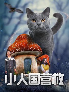 姐姐的花环