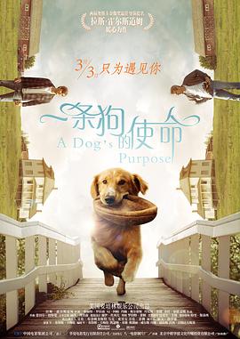 成年人高清在线
