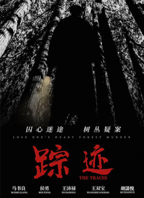 成年人视频在线播放