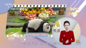 88福利视频